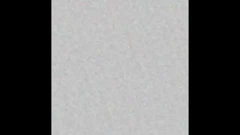 leejhonsonnn online show from 11-13-25, 11:42