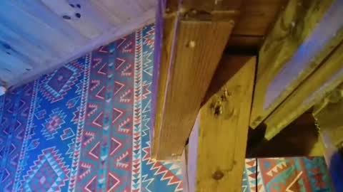 Dliciousman online show from 12-23-24, 05:43