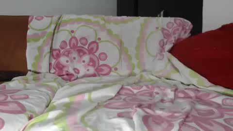 Snapshot of leishasoft1 chatting on 02-25-26, 12:48 pamela online show from 02-25-26, 12:48
