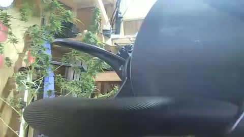 HoleStretcher online show from 09-09-25, 07:46