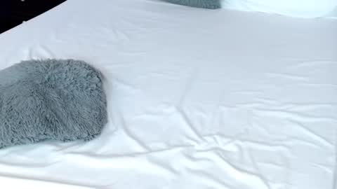 LUCY online show from 02-19-25, 11:04