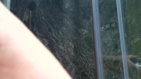 Snapshot of leschatons22 chatting on 07-05-26, 11:17 Chaton online show from 07-05-26, 11:17