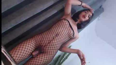 Trisha18 online show from 01-21-25, 08:32