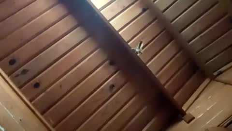 Snapshot of leskator9 chatting on 11-02-25, 05:10 leskator9 online show from 11-02-25, 05:10