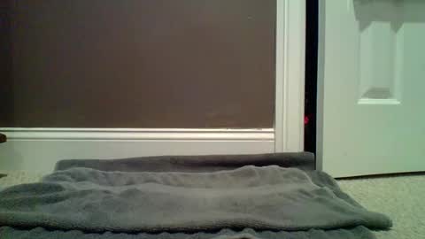 Snapshot of lets_orgasm_ chatting on 01-27-25, 12:54 Lets Orgasm online show from 01-27-25, 12:54