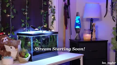 Snapshot of lex_taylor chatting on 12-19-24, 04:46 Lex online show from 12-19-24, 04:46