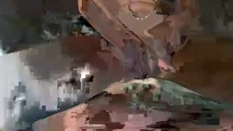 lickseeandbemee online show from 10-28-25, 05:44