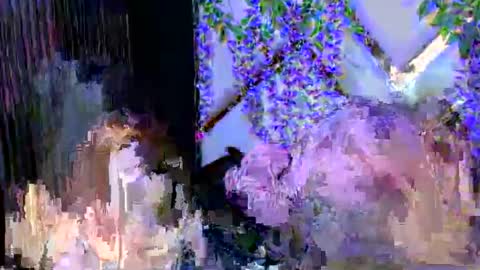 Snapshot of liinzy_rouse chatting on 12-03-25, 02:48 Brittany online show from 12-03-25, 02:48