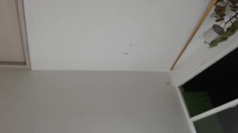 liiz5 online show from 12-31-24, 01:26