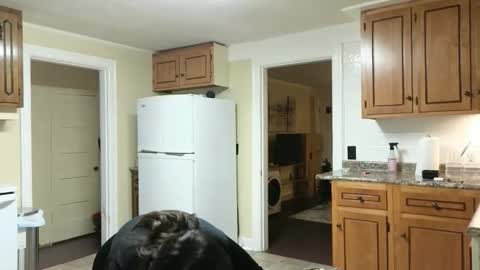 lilly_adams88 online show from 11-24-25, 11:04