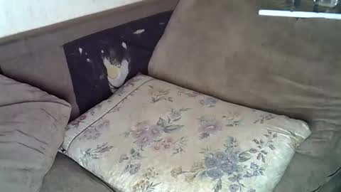 Snapshot of lillybae1811 chatting on 06-10-26, 08:02 lillybae1811 online show from 06-10-26, 08:02