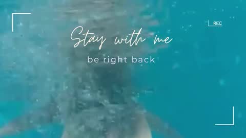 Lily online show from 11-02-25, 06:27