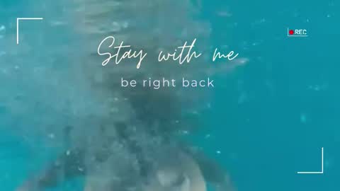 Lily online show from 02-04-26, 06:08