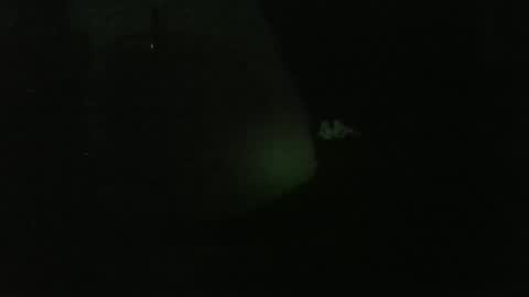 Snapshot of lily_lovelyman_ chatting on 12-26-24, 04:53 lily lovelyman online show from 12-26-24, 04:53