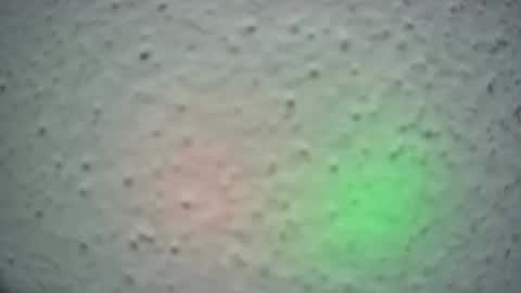 Snapshot of lily_lovelyman_ chatting on 02-13-25, 06:52 lily lovelyman online show from 02-13-25, 06:52