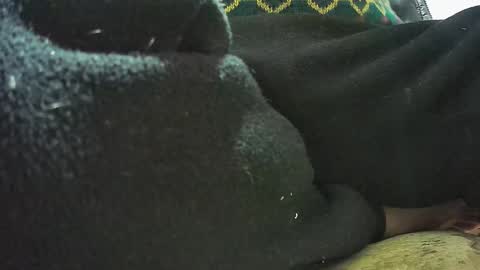 Snapshot of lily_lovelyman_ chatting on 02-23-25, 07:11 lily lovelyman online show from 02-23-25, 07:11