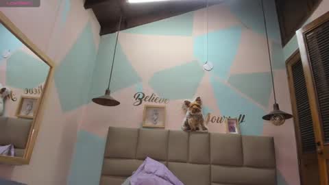 Lily online show from 02-12-25, 11:18