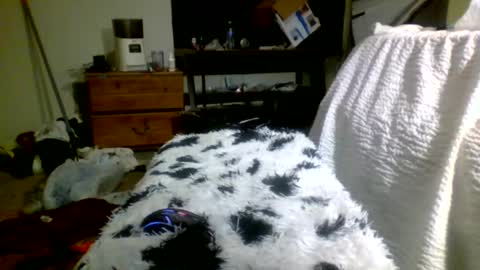 Richie Rich online show from 12-30-24, 05:13