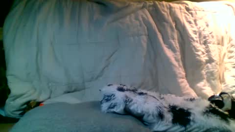 Richie Rich online show from 01-13-25, 02:39