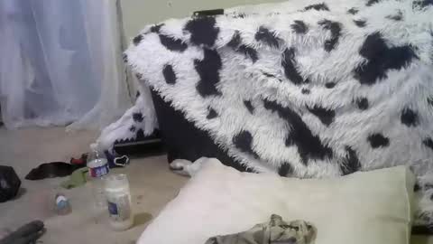 Richie Rich online show from 02-18-25, 12:28