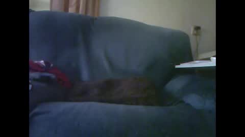 lion160868 online show from 11-28-25, 09:23