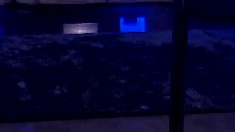 lisa_elfy online show from 01-24-25, 03:45