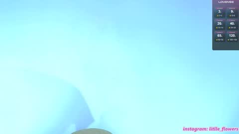 Snapshot of litlle_flowers chatting on 10-22-25, 04:46 Lana online show from 10-22-25, 04:46