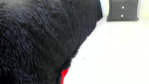 Misstress Martina  online show from 02-14-25, 10:14