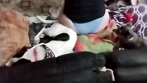 Snapshot of littlebigsquirt7945 chatting on 09-22-25, 02:24 Sady Jayne online show from 09-22-25, 02:24