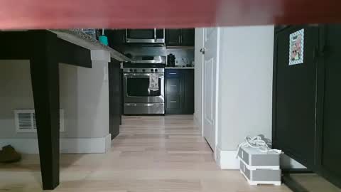 Snapshot of littleclitty247 chatting on 09-11-25, 09:48 Littlleclitty247 online show from 09-11-25, 09:48