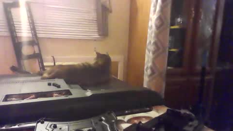 littlegrey376 online show from 02-18-26, 07:15