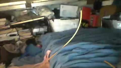 Snapshot of littlejay4773 chatting on 10-04-25, 07:17 littlejay             littlejay online show from 10-04-25, 07:17