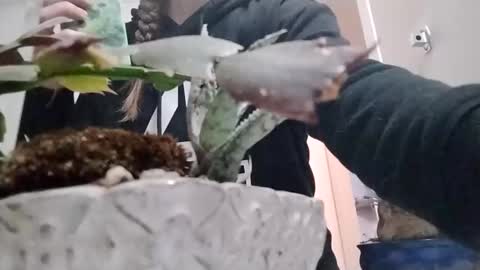 Snapshot of littleleo96 chatting on 10-05-25, 11:08 littleleo96 online show from 10-05-25, 11:08