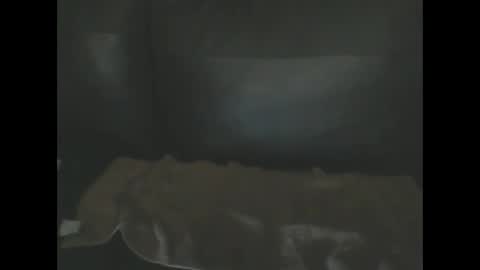 Snapshot of livtolick chatting on 01-03-25, 11:03 letmeliku online show from 01-03-25, 11:03