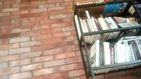 lllukasssxxx online show from 11-01-25, 09:33