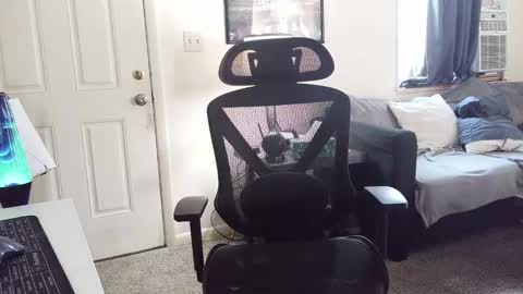 LongDick Daddy online show from 01-05-26, 06:22