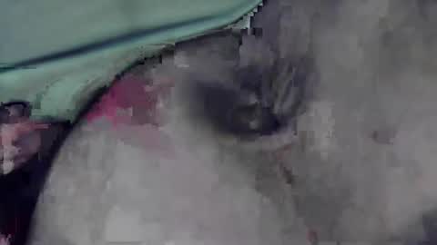 lofkok online show from 03-12-25, 04:13