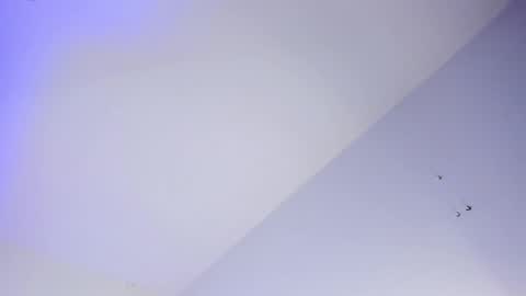 Snapshot of logan_west1 chatting on 10-16-25, 08:04 Logan online show from 10-16-25, 08:04