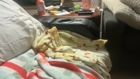 logical12345 online show from 12-01-25, 03:22