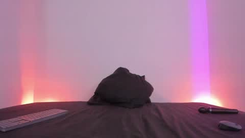 Snapshot of lolap_ chatting on 01-05-25, 08:00 Lola online show from 01-05-25, 08:00