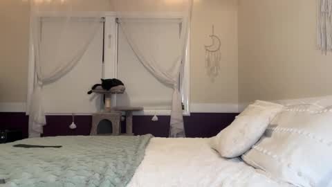 Lola 3 online show from 12-17-24, 03:28