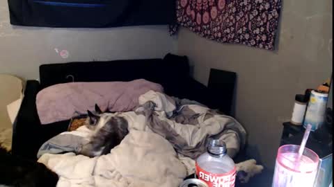 londonray online show from 11-15-25, 11:40