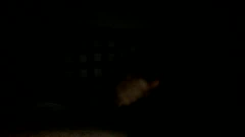 Handsome Cock online show from 11-14-25, 07:34