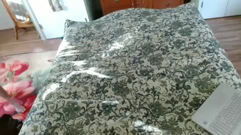 Jeff online show from 01-30-25, 08:21