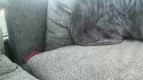 Snapshot of longjohnson94435702 chatting on 03-02-25, 07:54 longjohnson94435702 online show from 03-02-25, 07:54