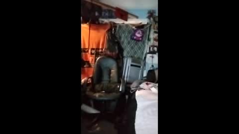 Mr. FogoDeChao online show from 02-03-26, 06:46