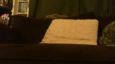 Snapshot of longlorne chatting on 02-15-26, 04:31 longlorne online show from 02-15-26, 04:31