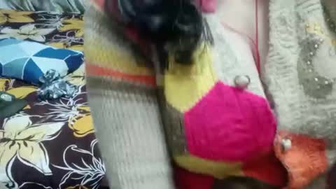 Shy Housewife online show from 12-16-25, 05:29