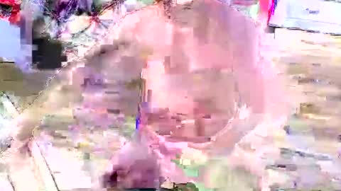 look4fun316 online show from 11-04-25, 01:48