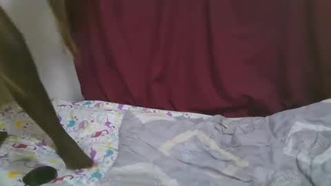 lora_amor online show from 09-29-25, 07:02